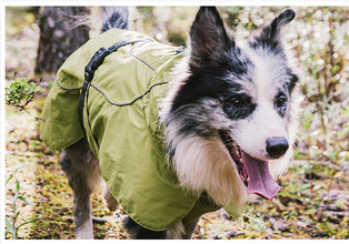 Dog wet weather sales gear