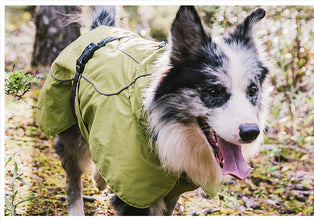 A+a Pets' Adventure Raincoat for Dogs