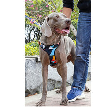 A+A Pets' Rainbow Vest Style Step In Harness - www.aplusapets.com
