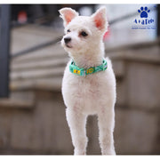 A+A Pets' Pirate Design Collar For Dogs and Cats - Green - www.aplusapets.com