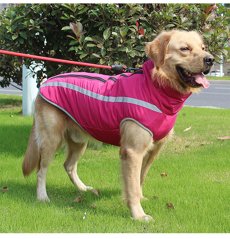 Luxurious Rain & Wind' Protector Jacket for Dogs