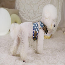 A+A Pets' Retro Vest Harness and Leash Set For Dogs & Cats - www.aplusapets.com