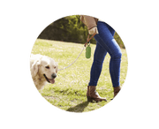 A+A Pets' Poop Bag Dispenser (60 Bags) - www.aplusapets.com
