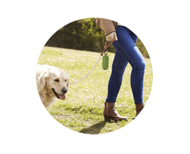 A+A Pets' Poop Bag Dispenser (60 Bags) - www.aplusapets.com