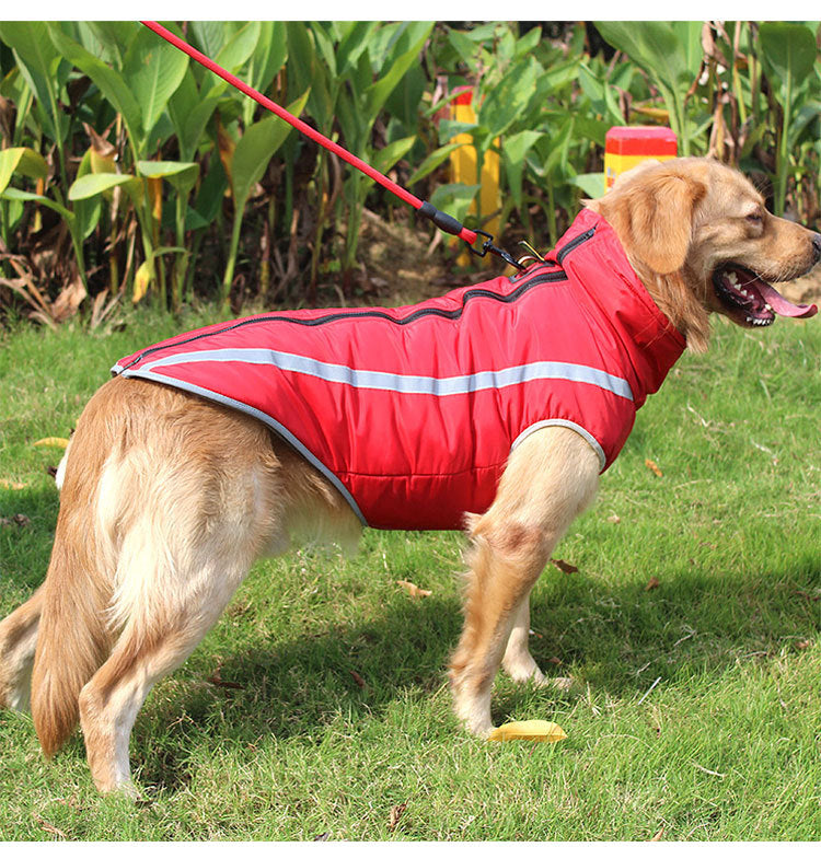 A+a Pets' Luxurious Rain & Wind' Protector Jacket for Dogs