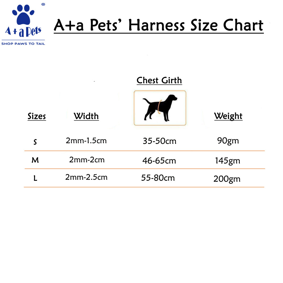 A+A Pets' Harness+Collar+Leash Set In Pirate Design