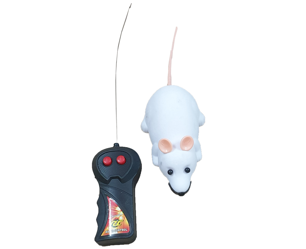 A+a Pets' Running Mouse Toy with Remote Control