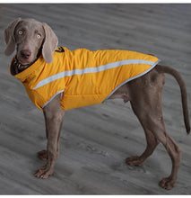 Luxurious Rain & Wind' Protector Jacket for Dogs